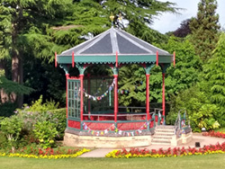 summer flower display including some exotics